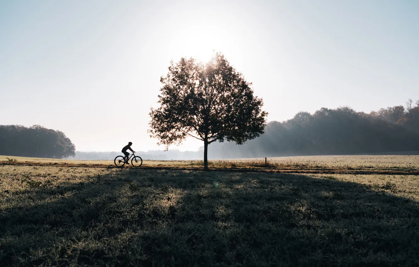 Photo wallpaper sport, morning, cyclist, walk, lifestyle, mountain bike