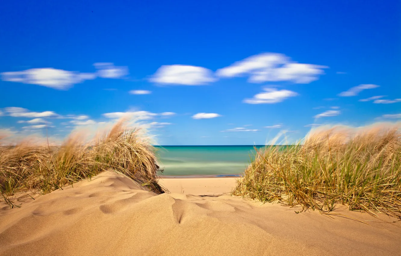 Photo wallpaper sand, sea, the sky, grass, clouds