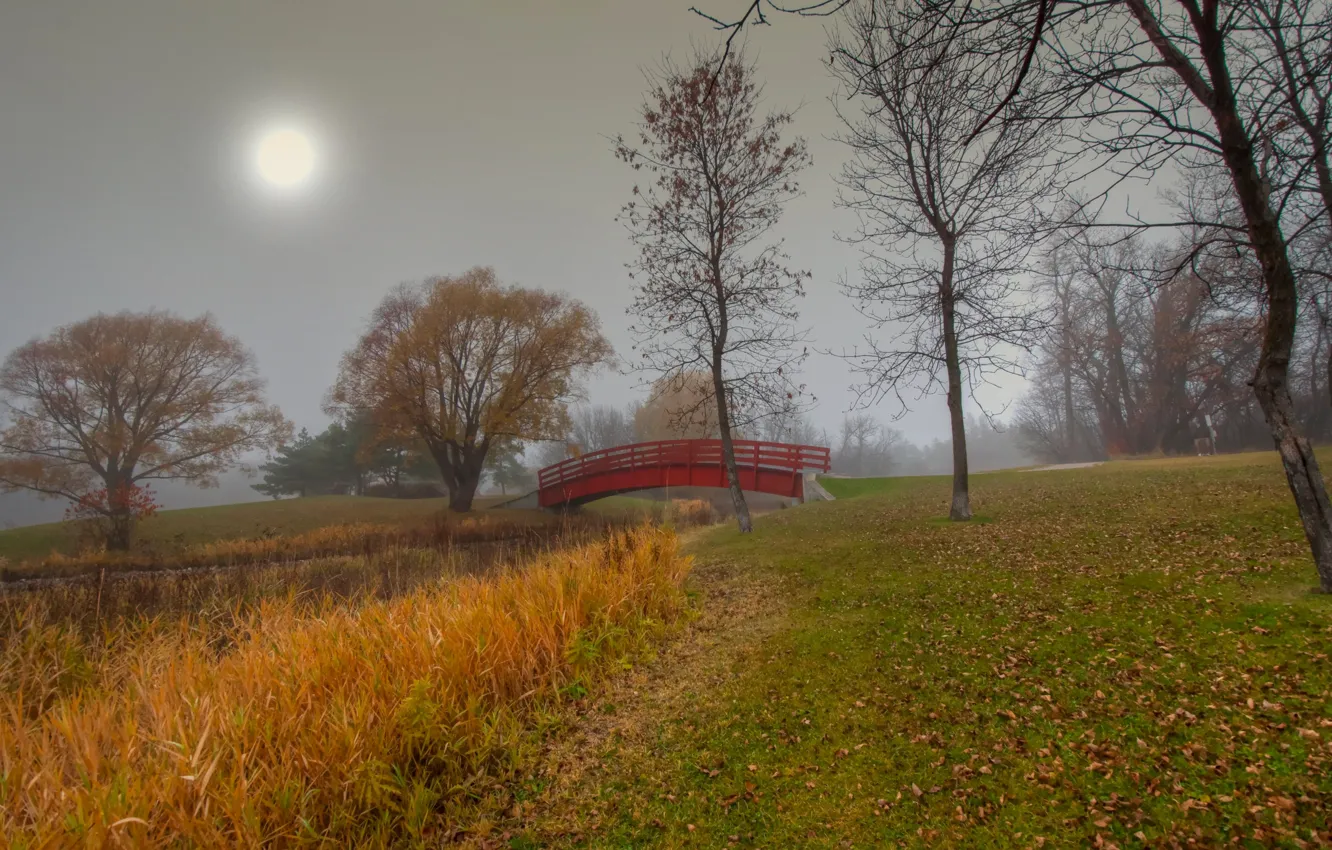 Photo wallpaper autumn, grass, bridge, fog, Park, garden