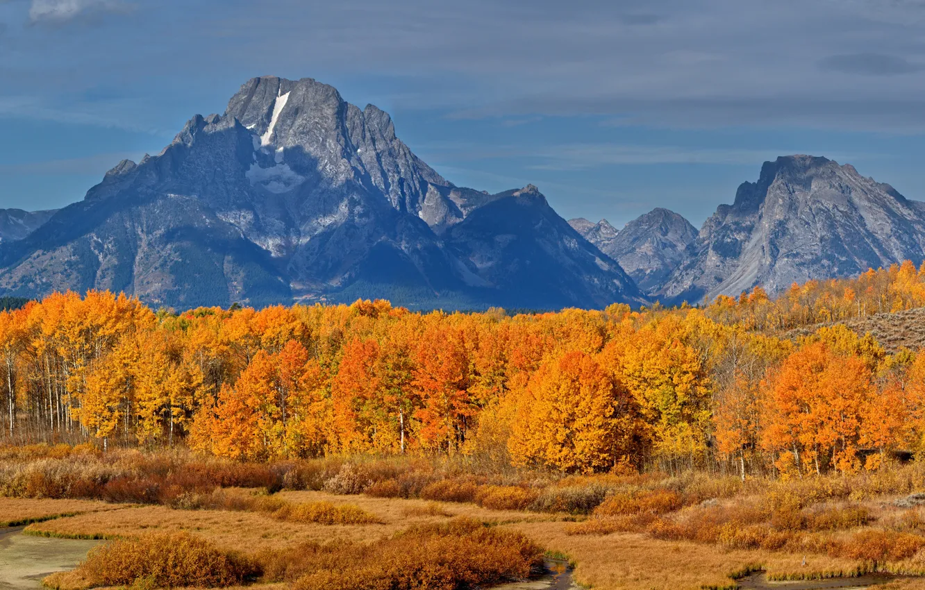 Photo wallpaper autumn, forest, the sky, grass, the sun, clouds, trees, mountains