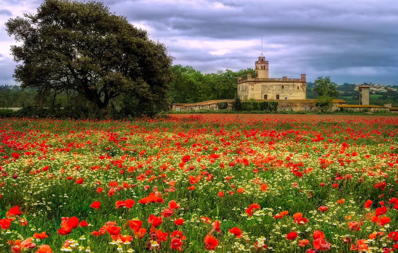 Photo wallpaper red, beautiful, trees, flowers, architecture, castle, plane, view