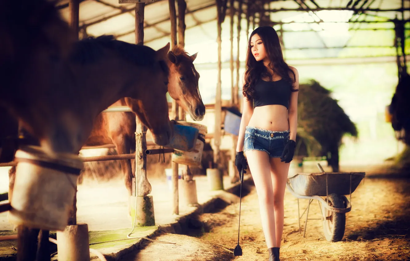Photo wallpaper girl, horses, Asian