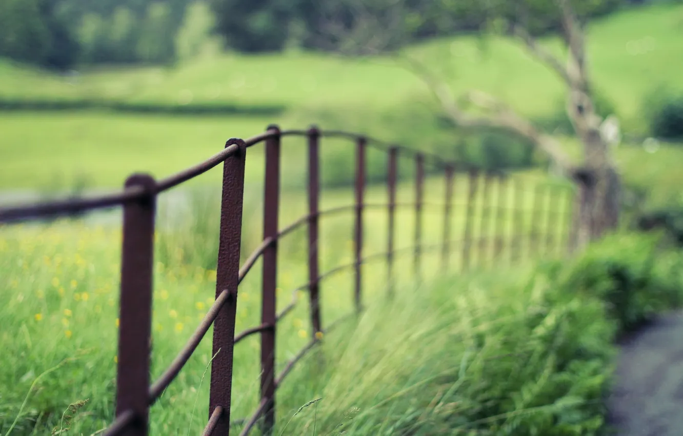 Photo wallpaper road, macro, the fence