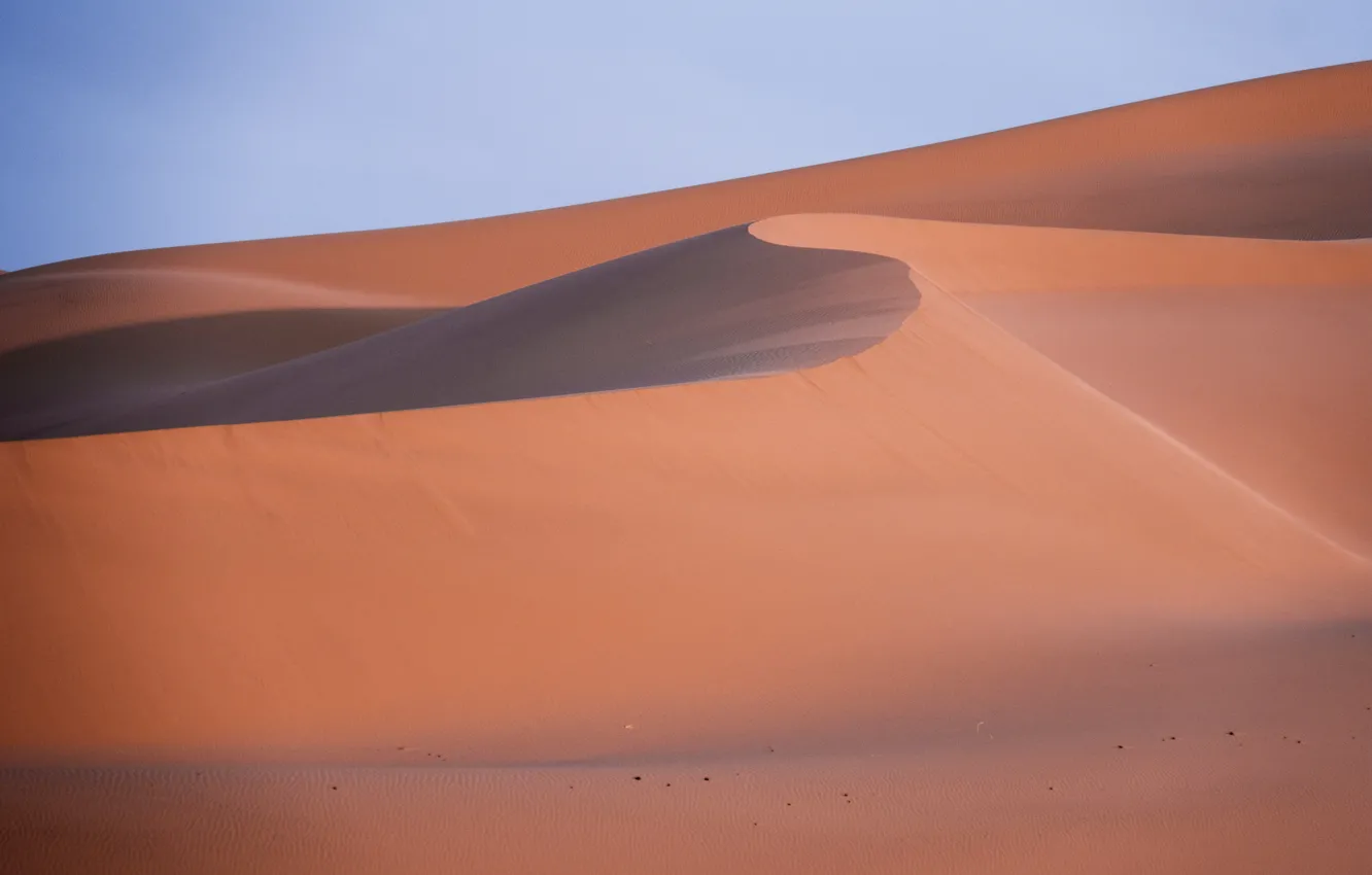 Photo wallpaper sand, landscape, desert, Sands, Mongolia, Gobi