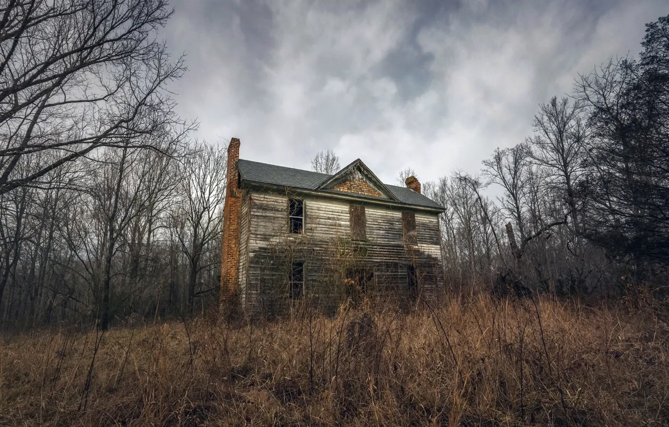 Photo wallpaper forest, the darkness, home