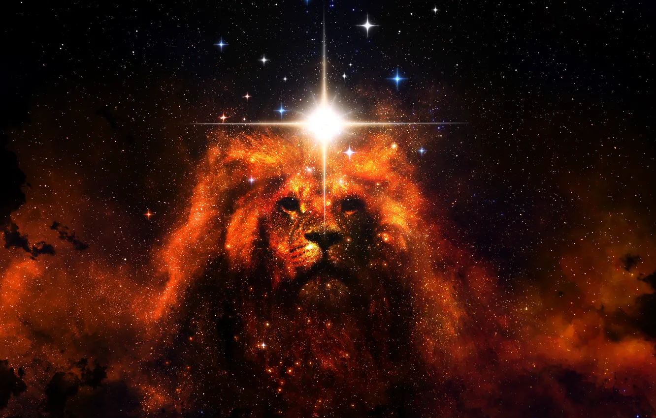 Photo wallpaper space, stars, Leo, mane