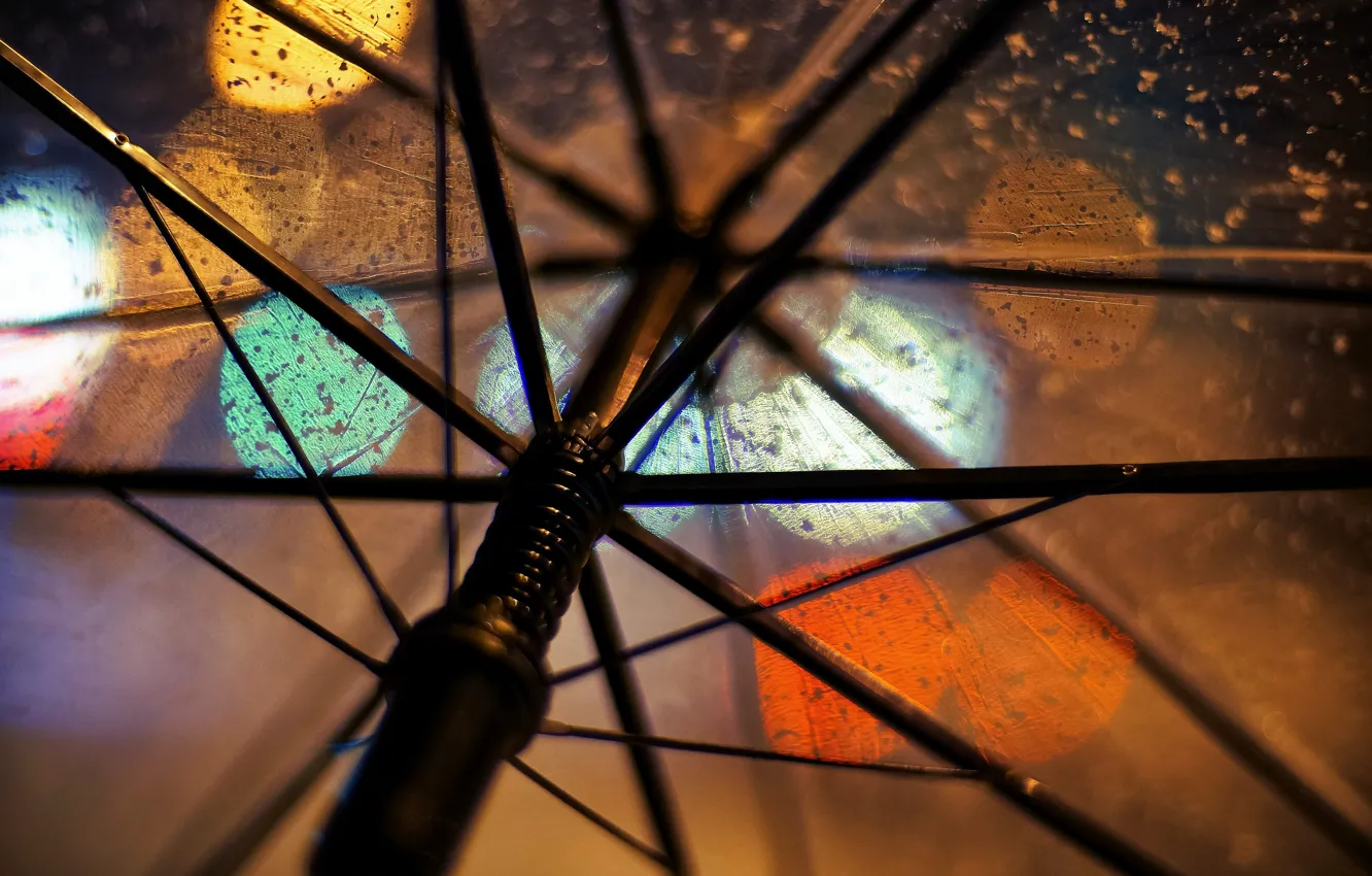 Photo wallpaper macro, transparent, rain, umbrella