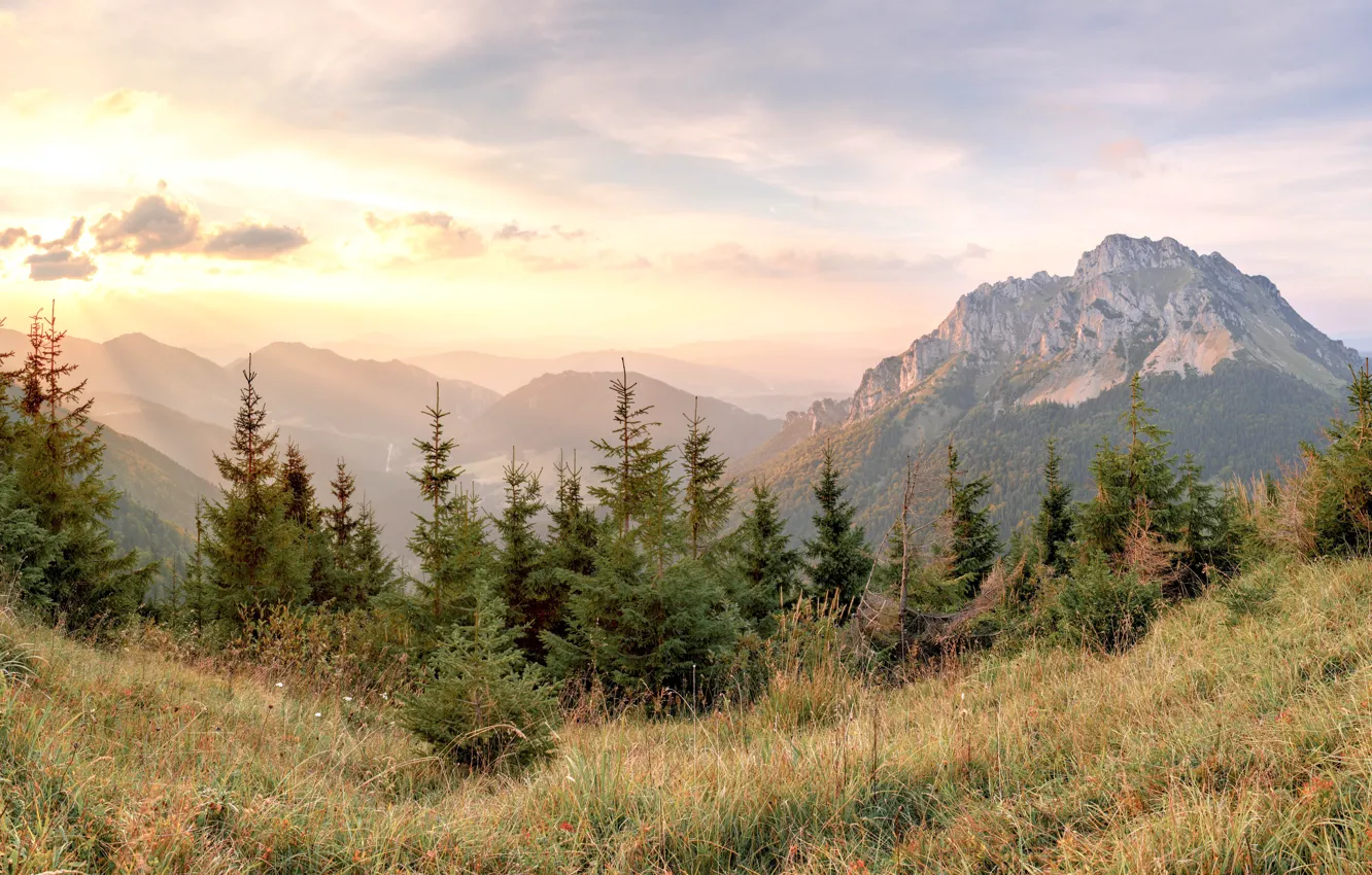 Photo wallpaper mountains, dawn, view, ate, valley, panorama, Slovakia, Slovakia