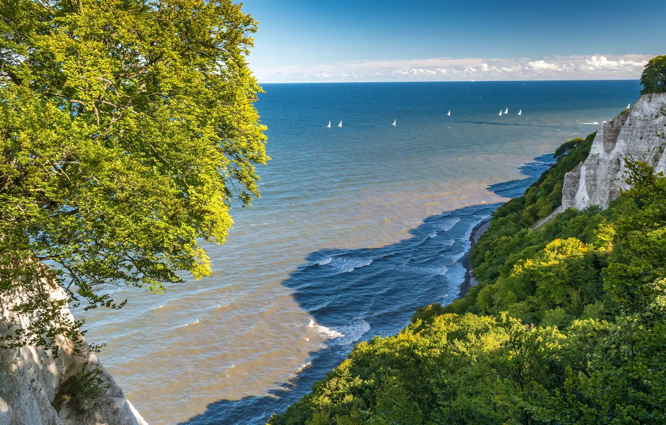 Photo wallpaper sea, wave, greens, beach, summer, clouds, light, trees