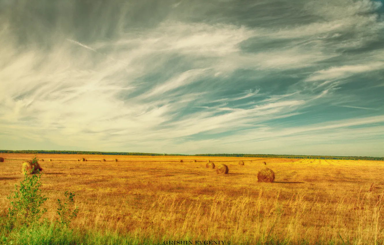 Photo wallpaper landscape, nature, Wallpaper, gevgeniy