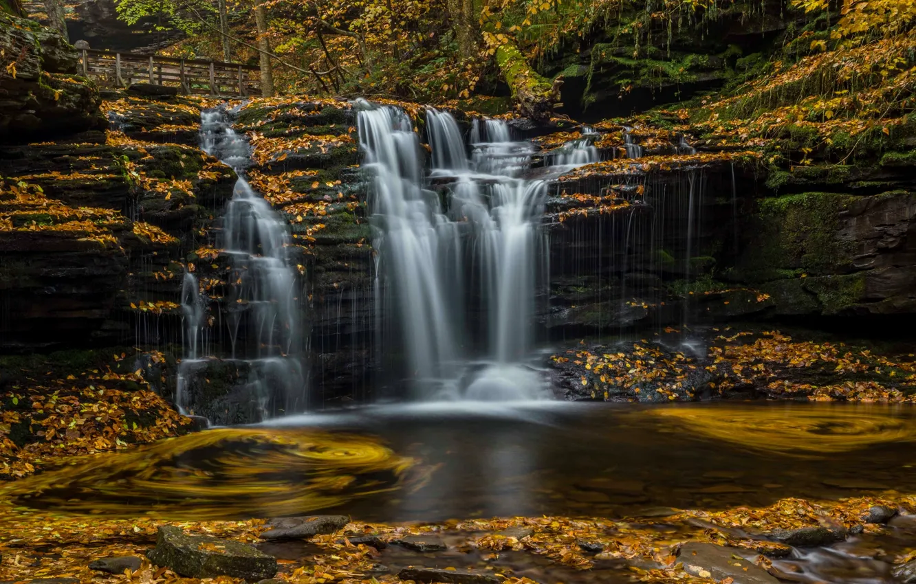 Photo wallpaper autumn, leaves, waterfall, PA, cascade, Pennsylvania, Ricketts Glen State Park