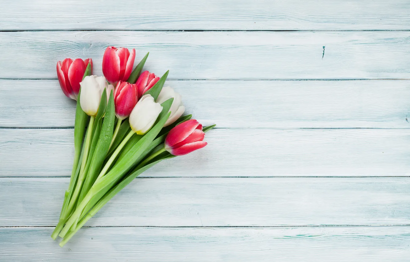Photo wallpaper flowers, bouquet, tulips, red, white, wood, flowers, tulips