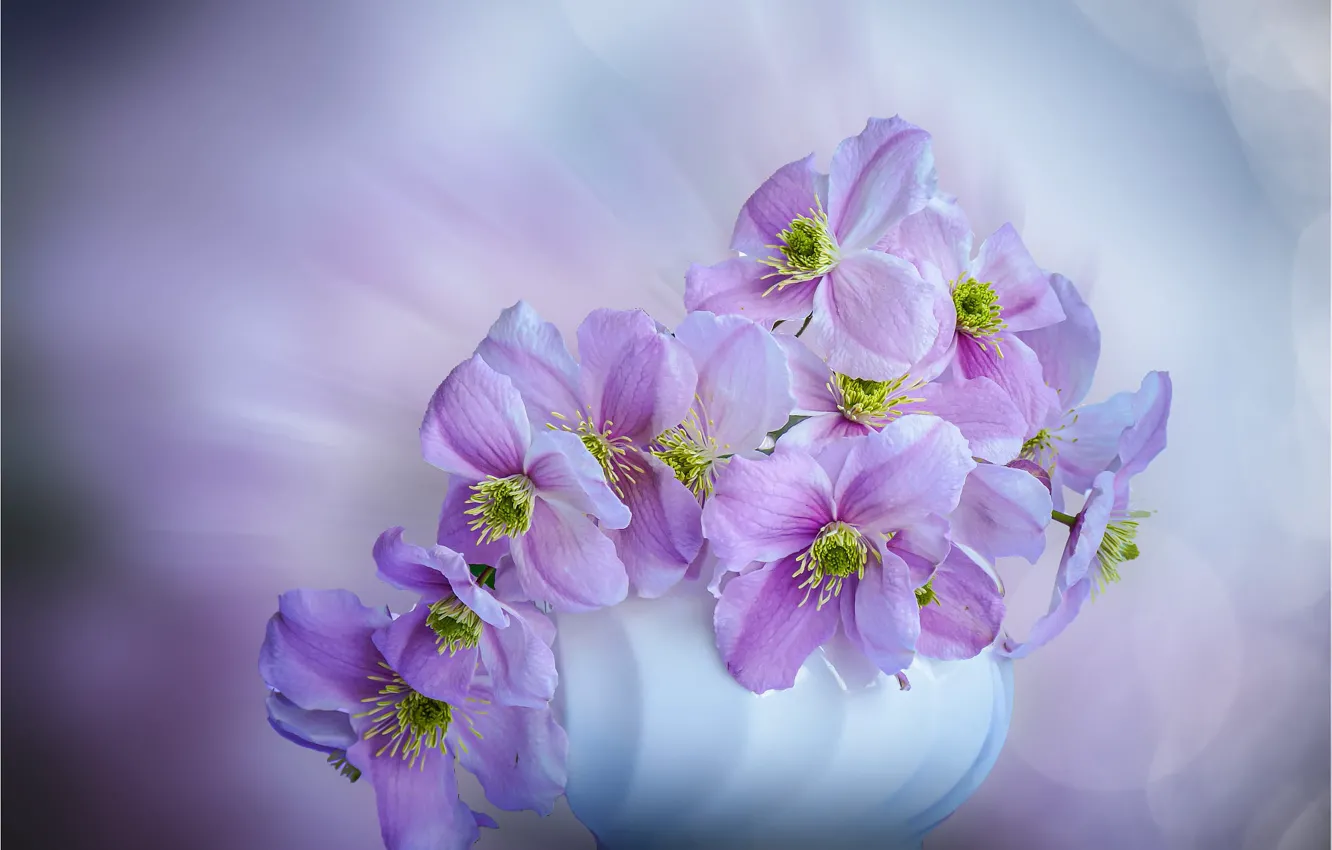 Photo wallpaper flowers, bouquet, vase, pink, clematis