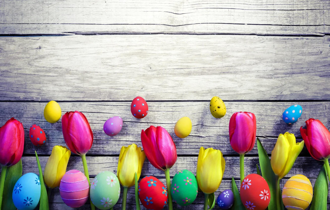 Photo wallpaper flowers, spring, colorful, Easter, tulips, wood, flowers, tulips