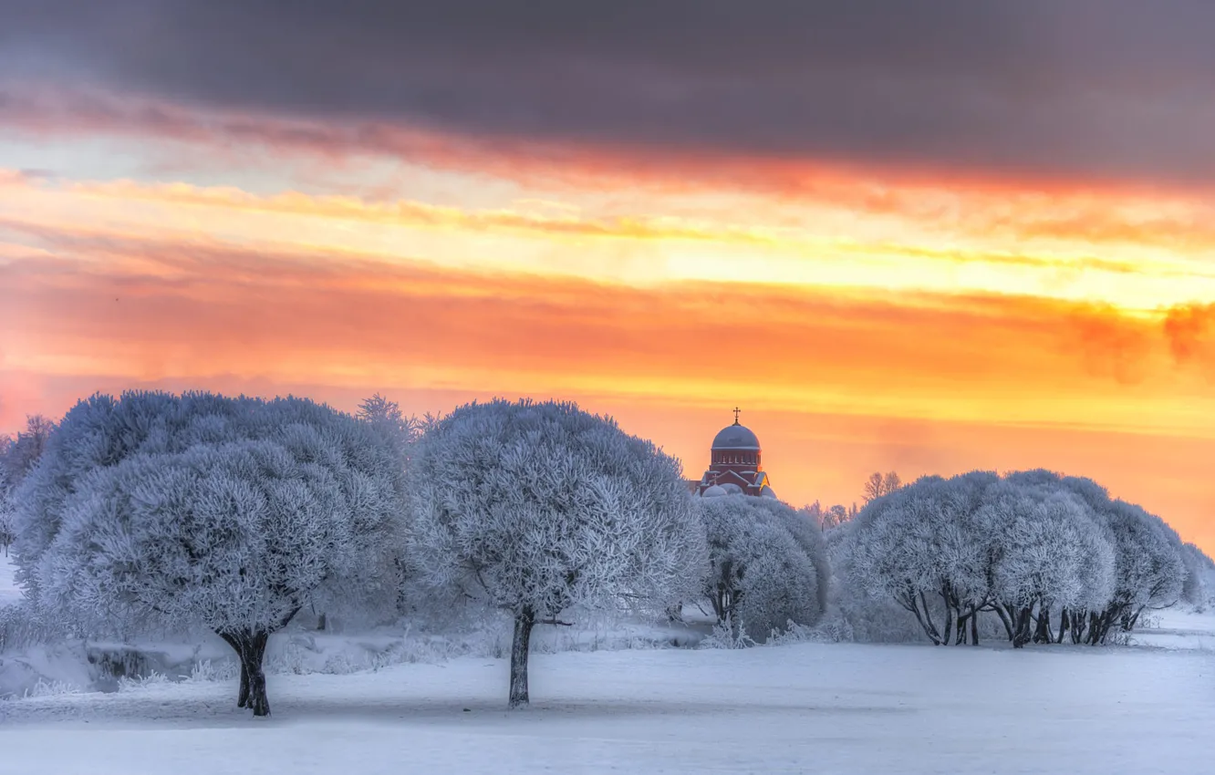 Photo wallpaper winter, frost, field, clouds, snow, trees, sunset, nature