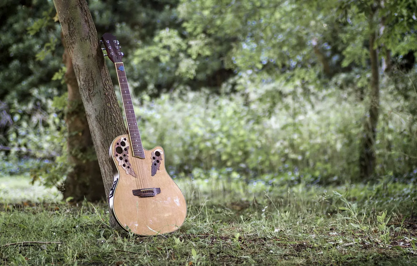 Photo wallpaper music, guitar, Acoustic