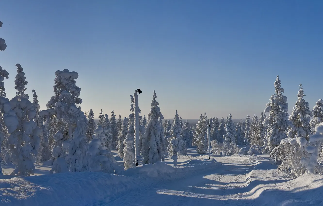 Photo wallpaper winter, road, the sky, snow, trees, street, posts, spruce