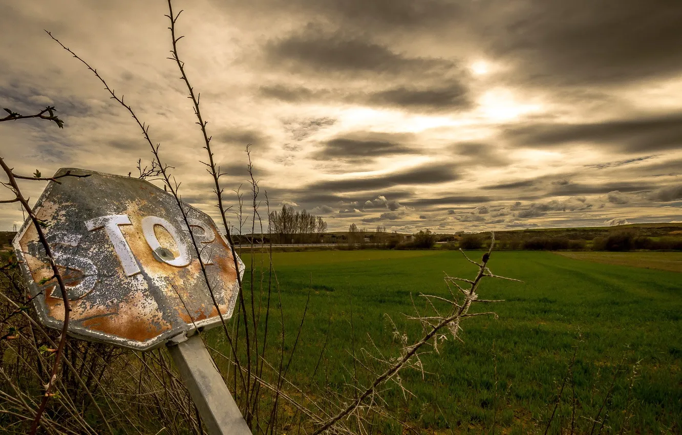 Photo wallpaper field, sign, Stop