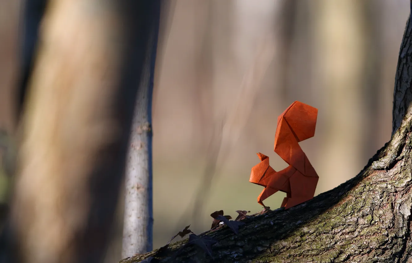 Photo wallpaper paper, protein, origami