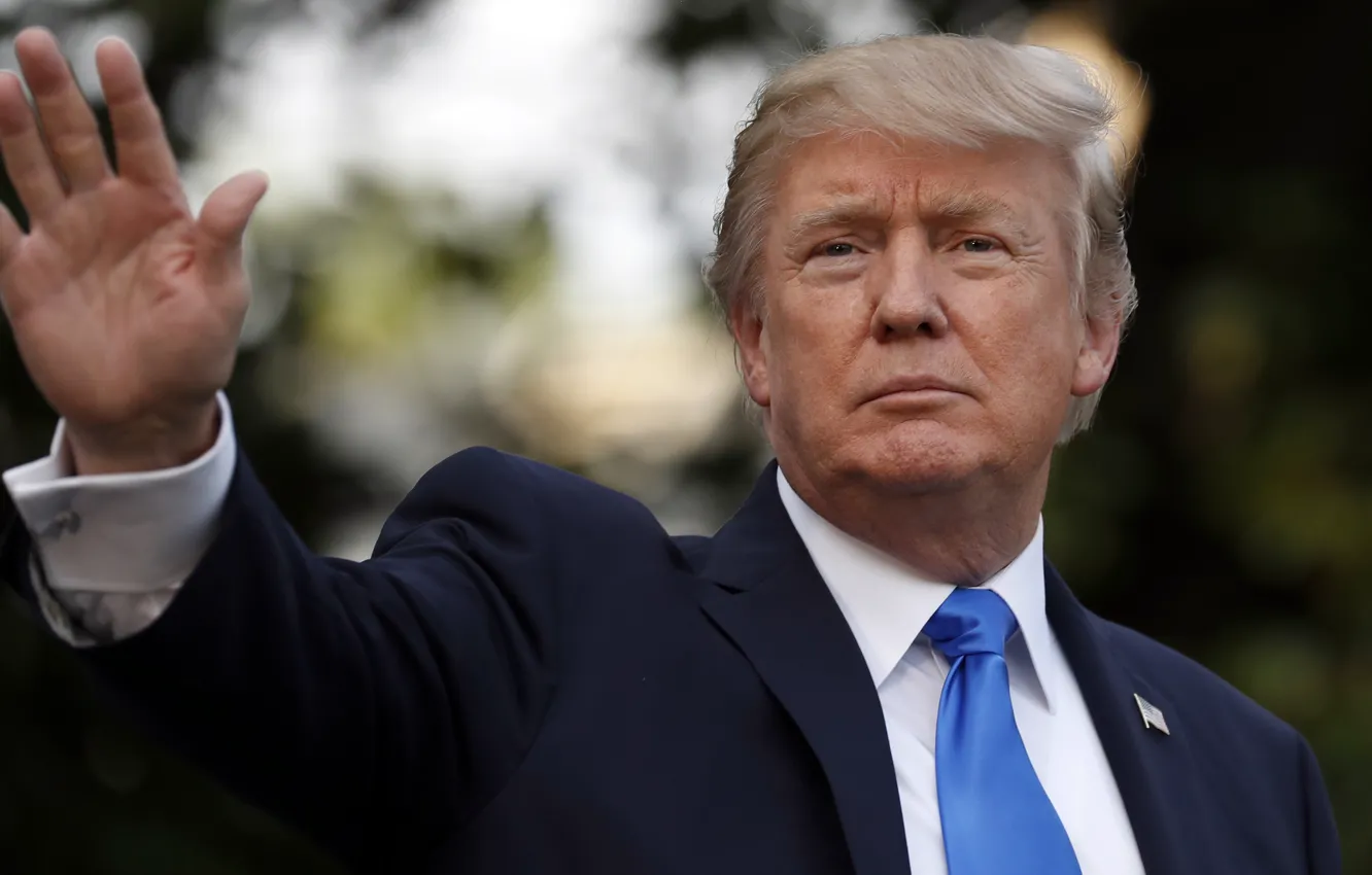 Photo wallpaper USA, USA, United States Of America, United States of America, Donald Trump, Donald Trump, The …