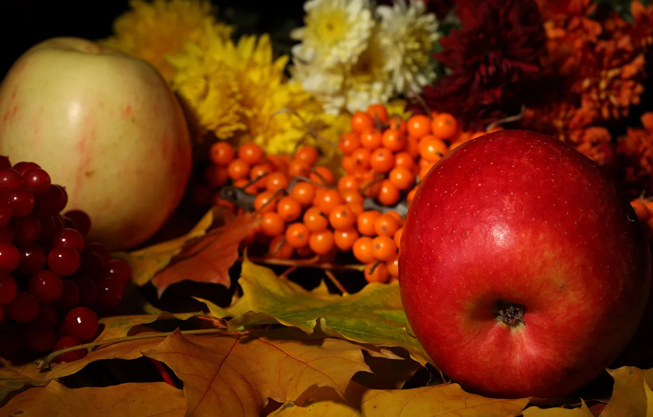 Photo wallpaper leaves, Apple, Rowan, the gifts of autumn