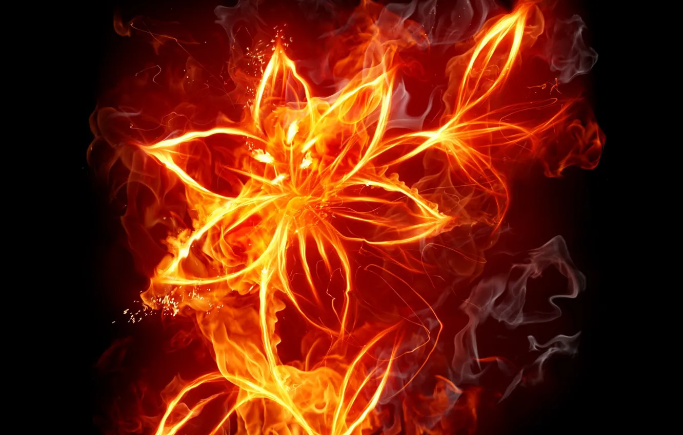Photo wallpaper flower, fire