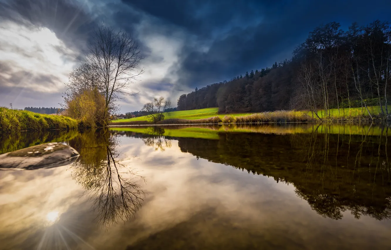 Photo wallpaper forest, the sky, grass, trees, landscape, clouds, nature, lake