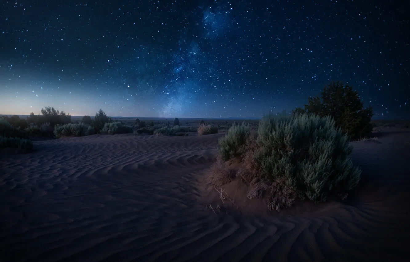 Photo wallpaper sand, stars, night, desert, dunes, shrub