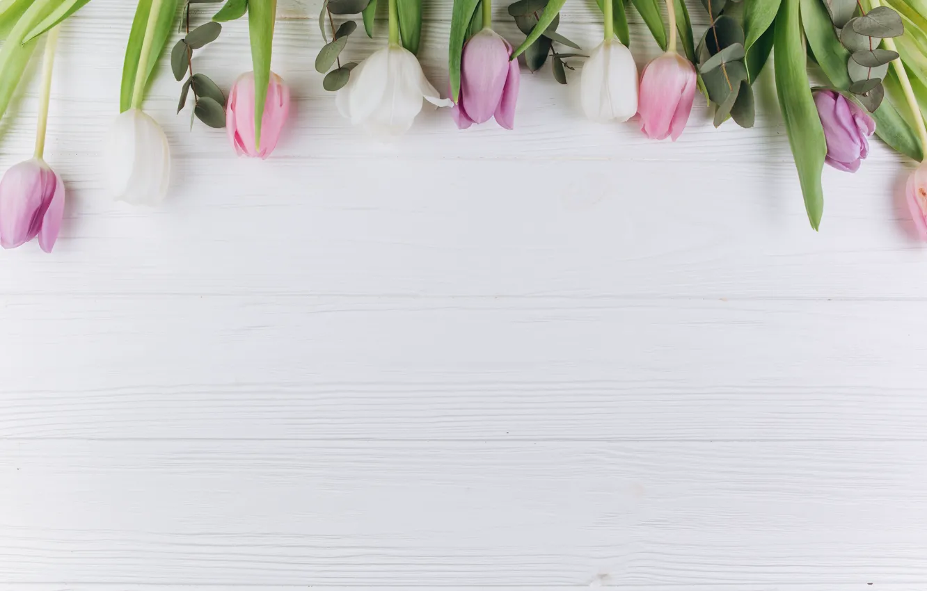 Photo wallpaper greens, flowers, sprig, background, spring, tulips