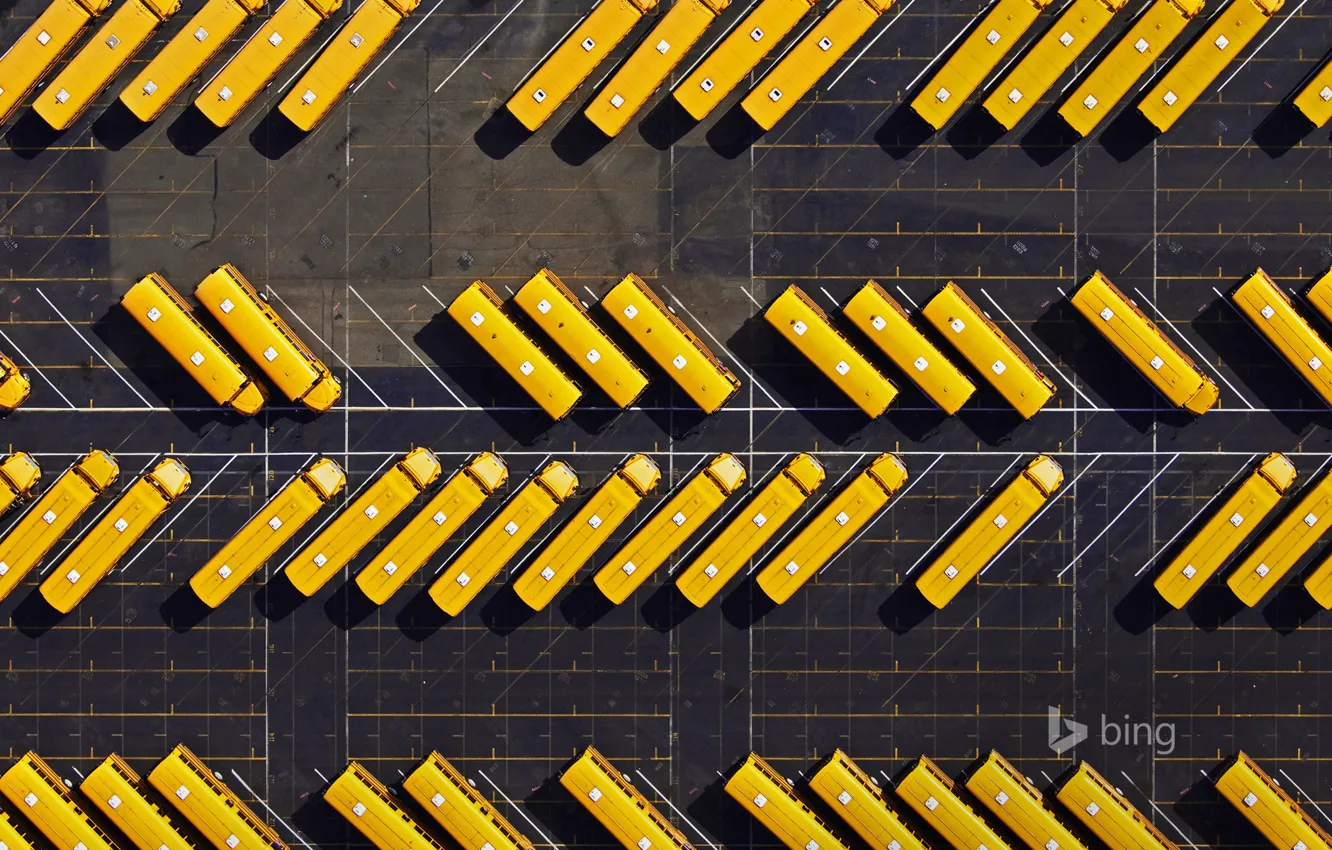 Photo wallpaper texture, Parking, bus, school