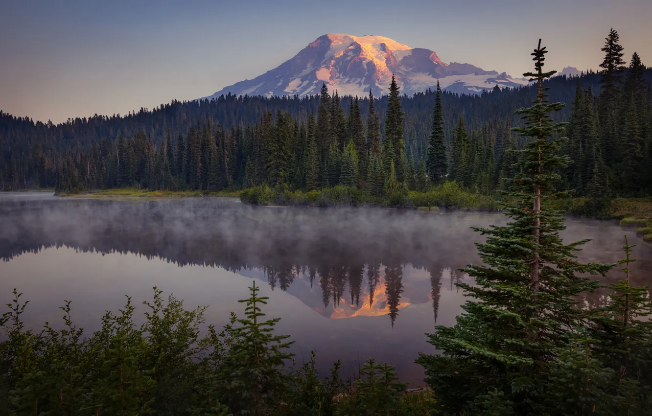 Photo wallpaper forest, mountains, fog, lake, reflection, shore, tops, the evening
