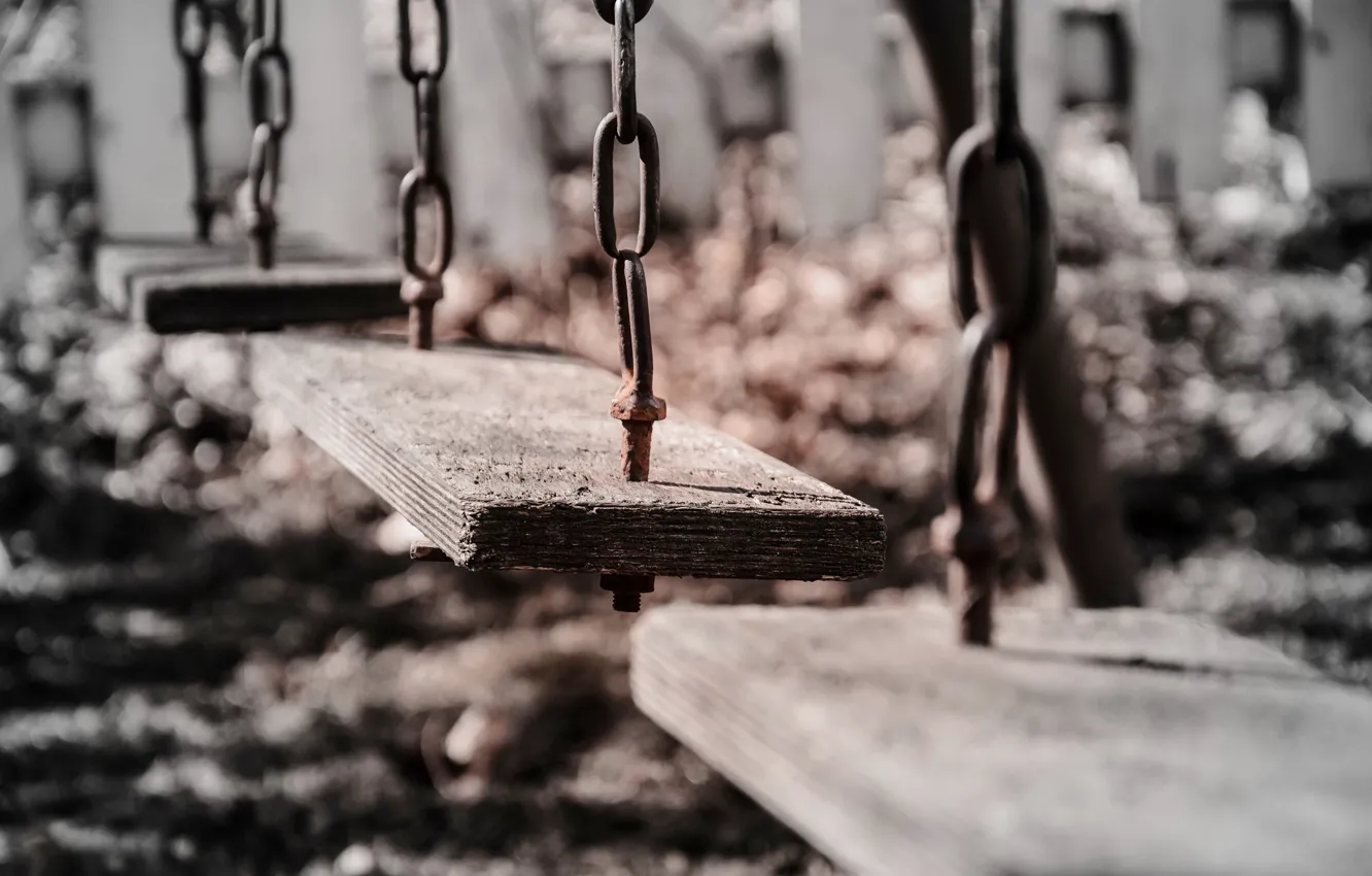 Photo wallpaper macro, background, swing