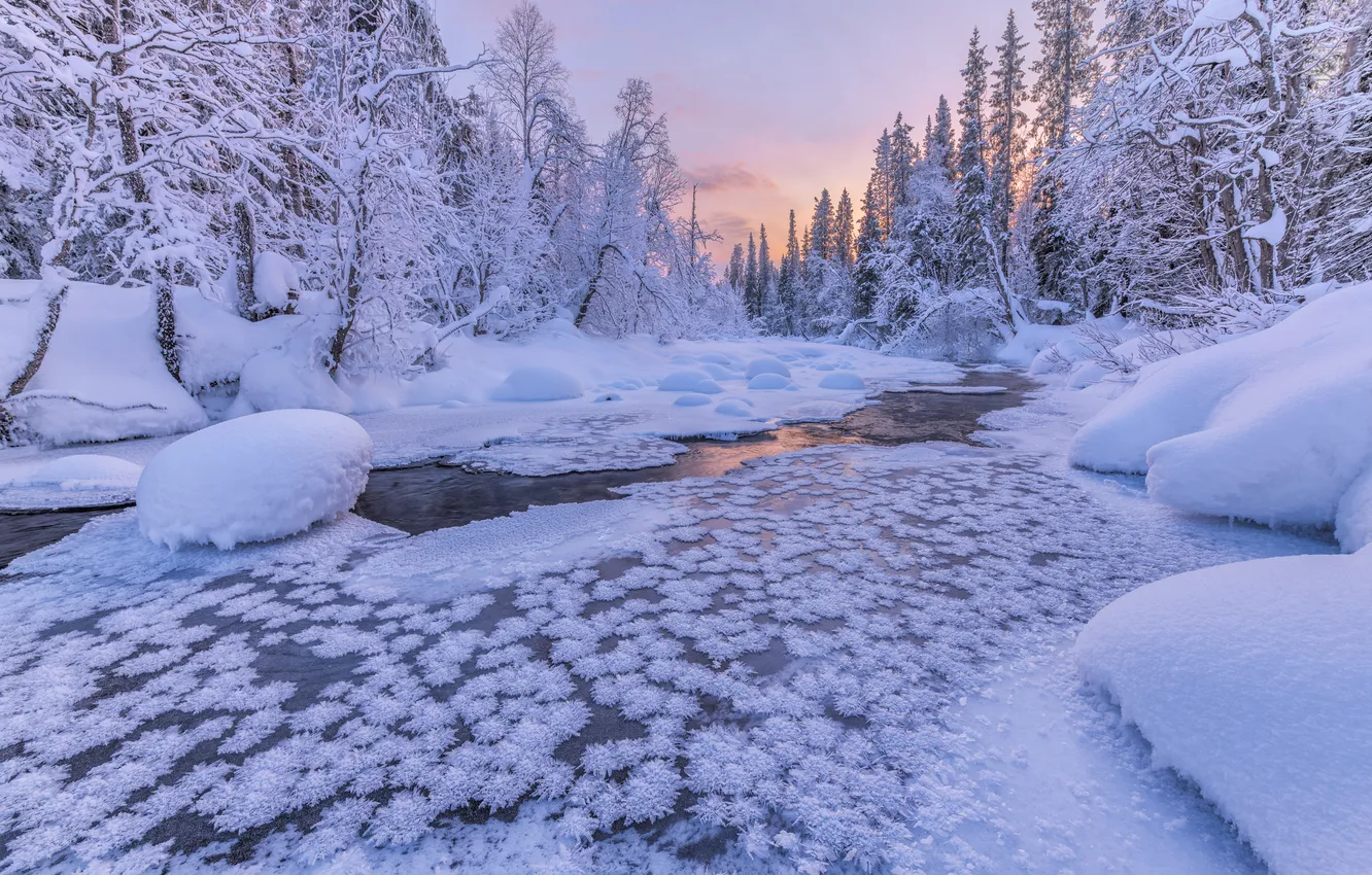 Photo wallpaper winter, forest, snow, trees, river, the snow, Russia, The Kola Peninsula