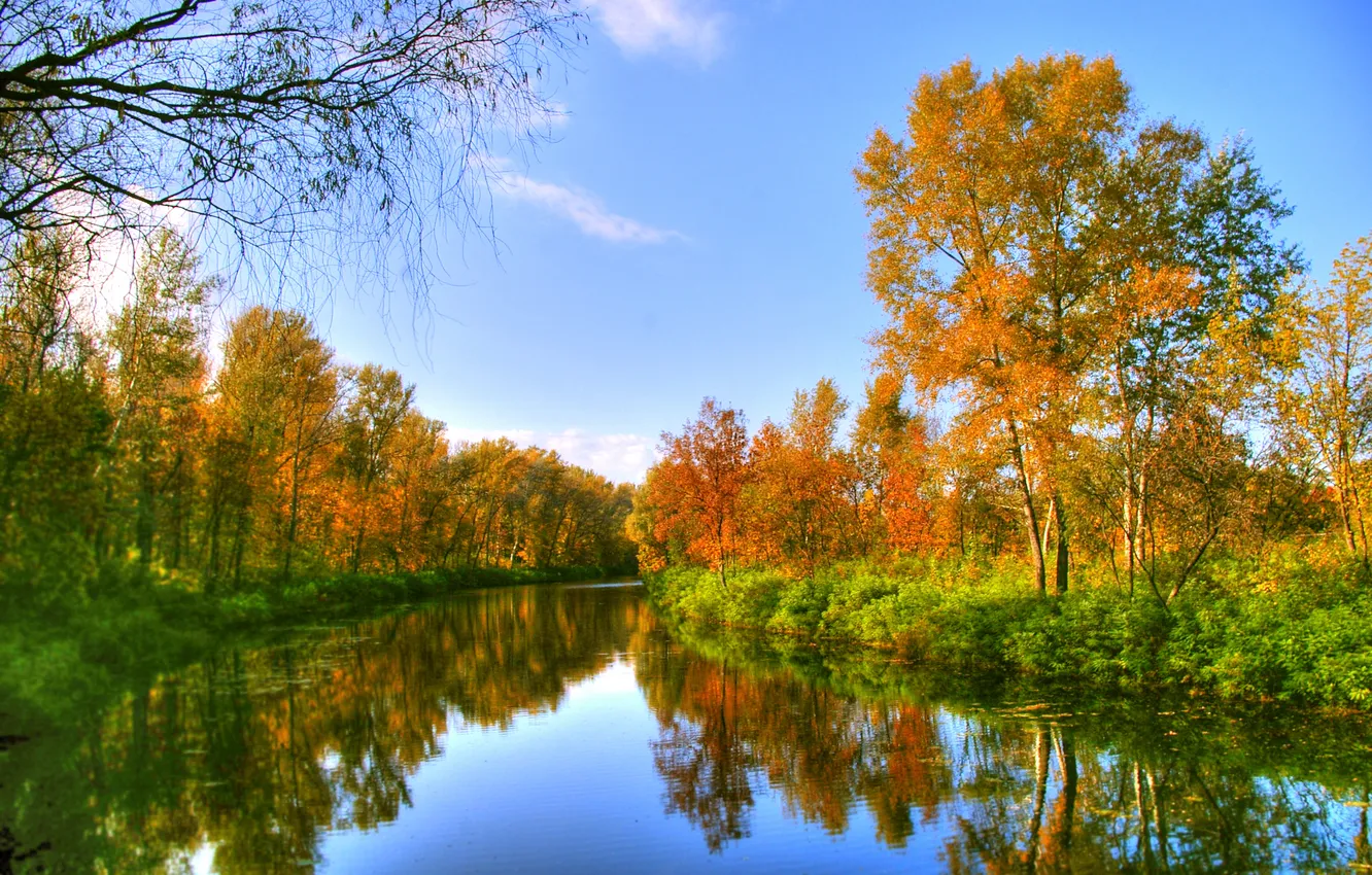 Photo wallpaper autumn, trees, nature, river