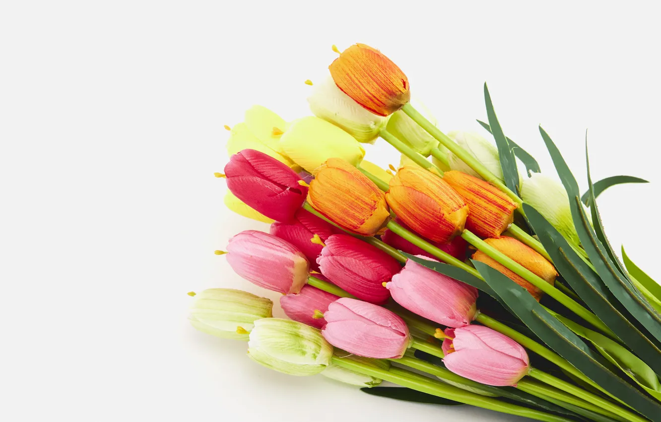 Photo wallpaper flowers, spring, colorful, tulips, flowers, tulips, spring