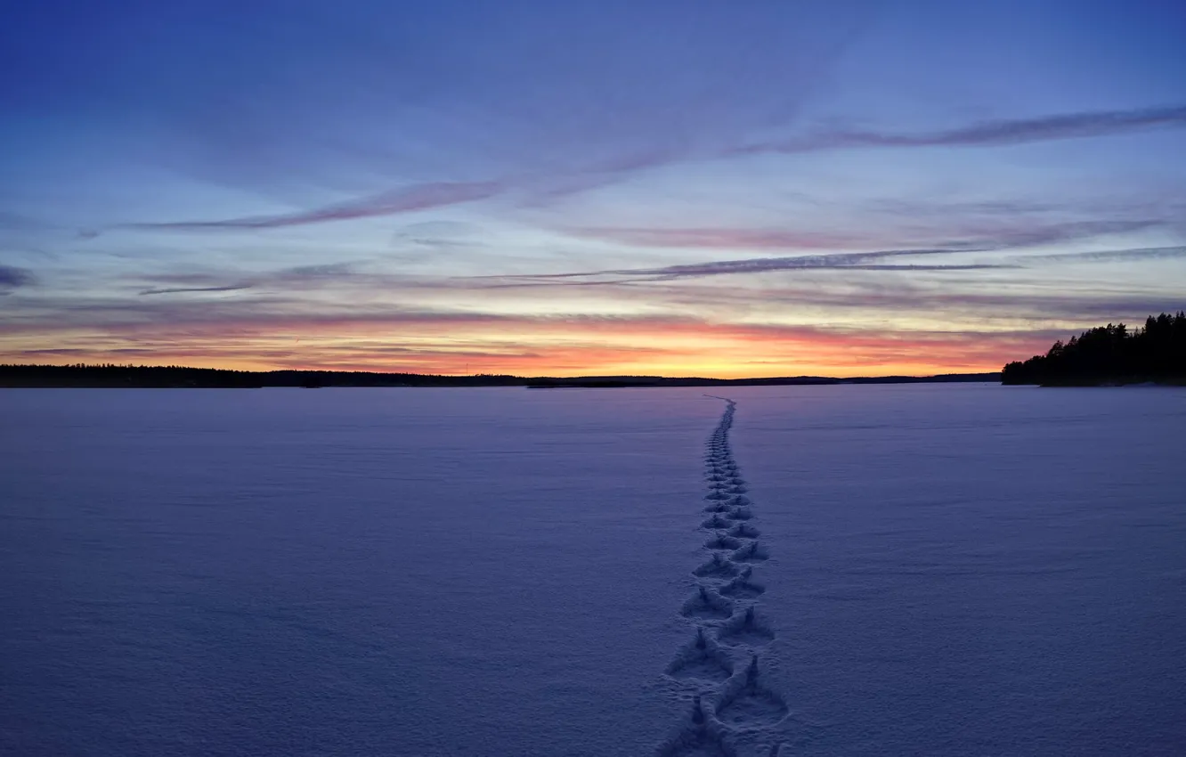 Photo wallpaper winter, snow, sunset, traces