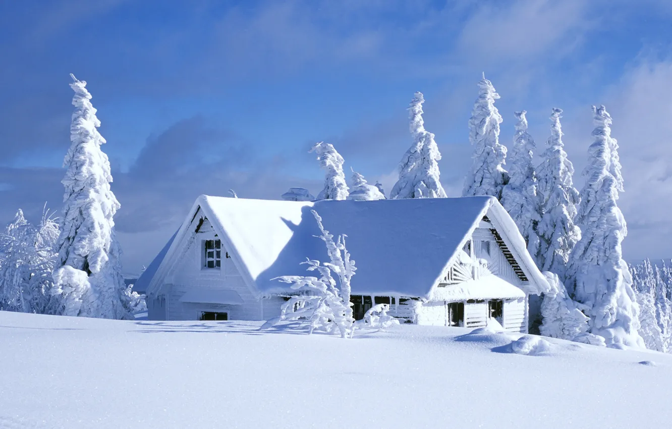 Photo wallpaper winter, snow, white, Blizzard, Blizzard