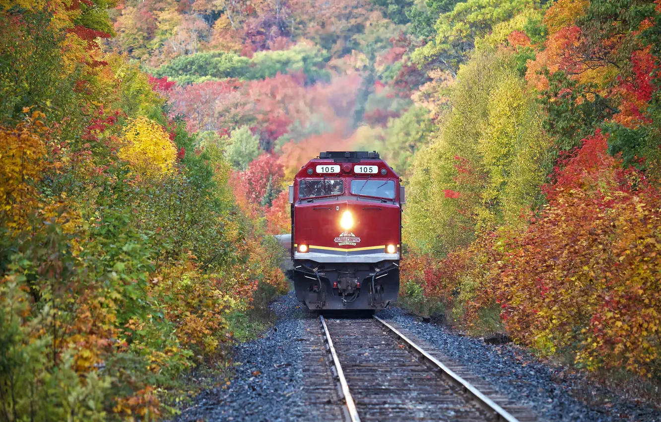 Photo wallpaper road, autumn, leaves, trees, rails, train, slope