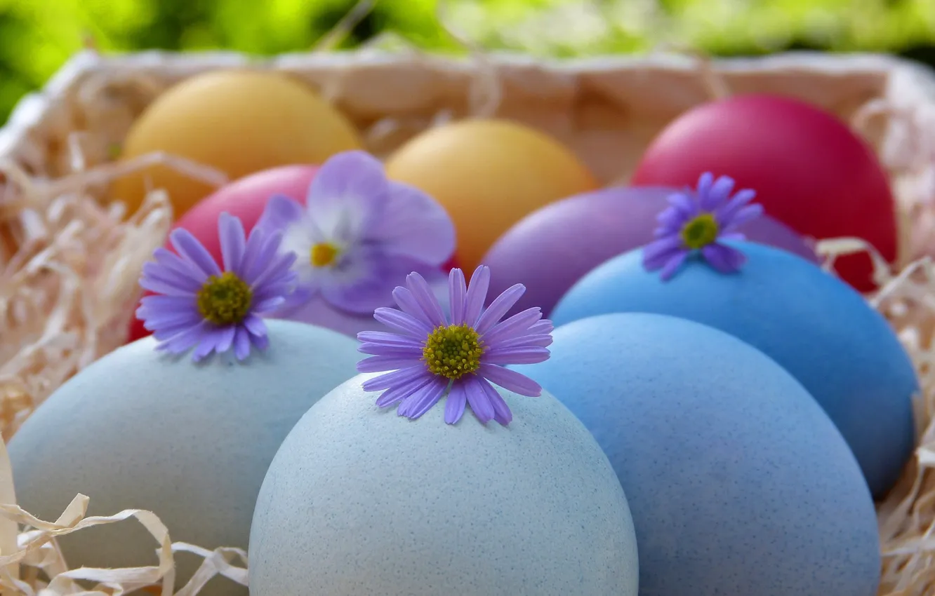 Photo wallpaper flowers, eggs, Easter