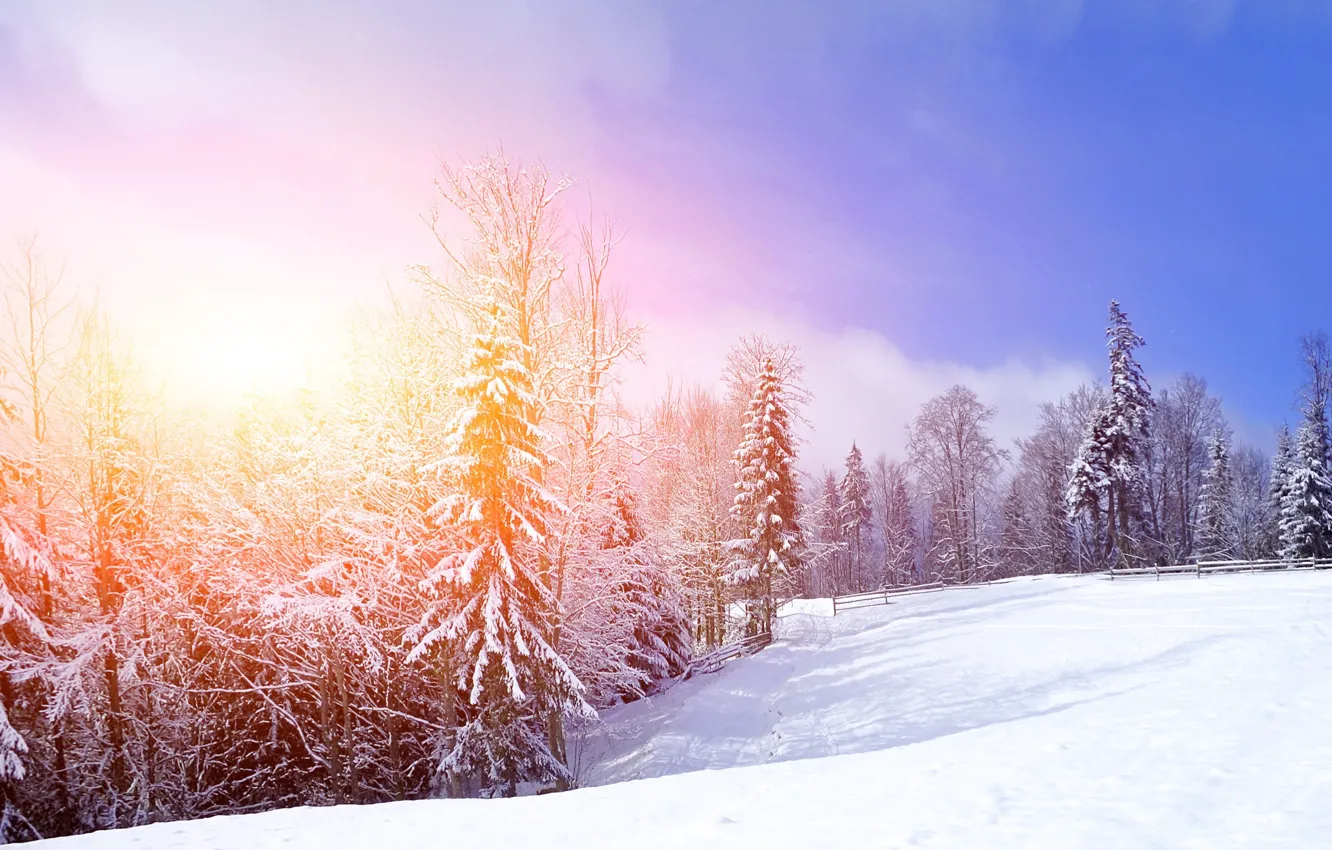 Photo wallpaper winter, snow, trees, landscape, mountains, nature