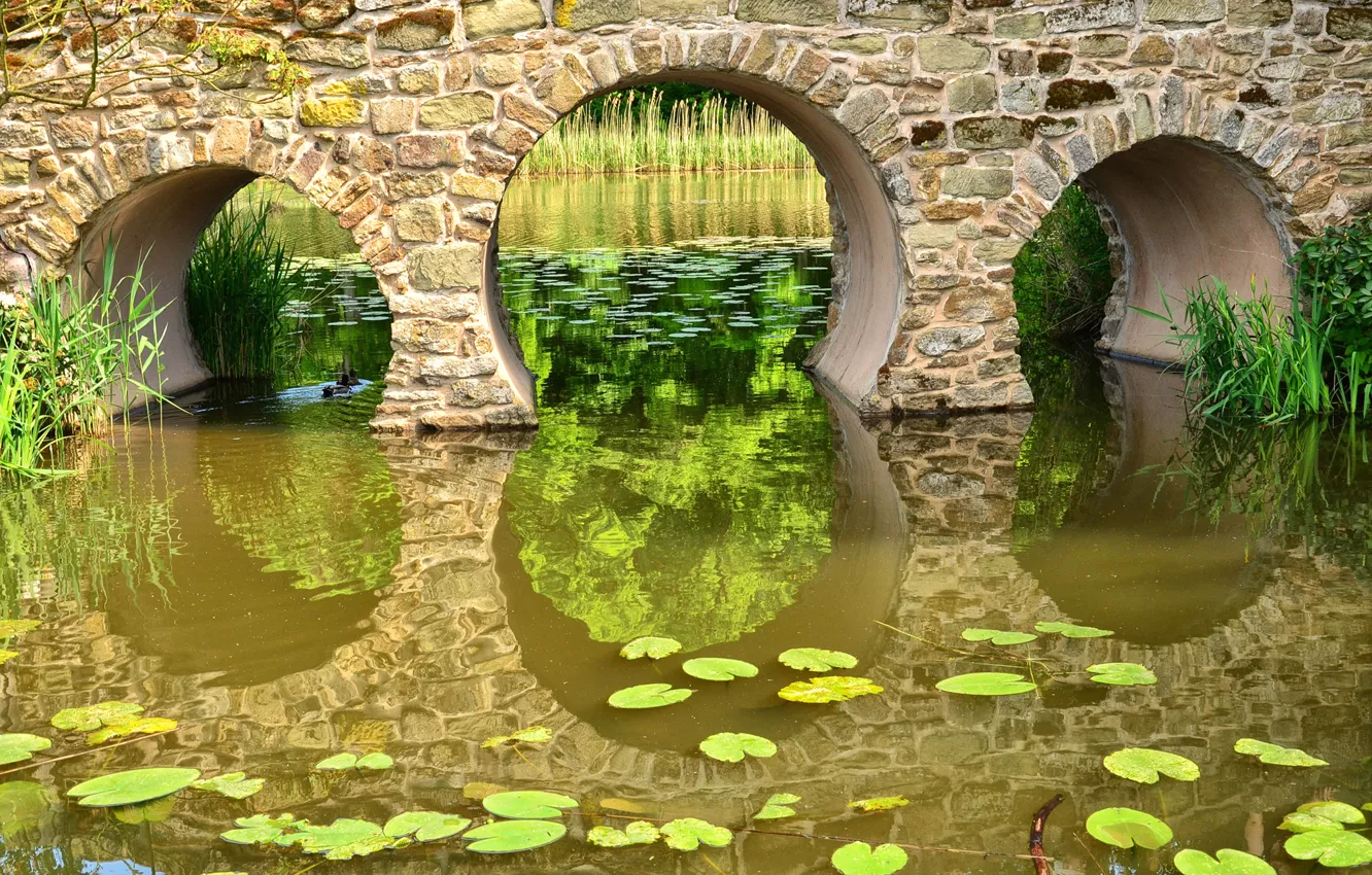 Photo wallpaper water, bridge, nature, pond, arch