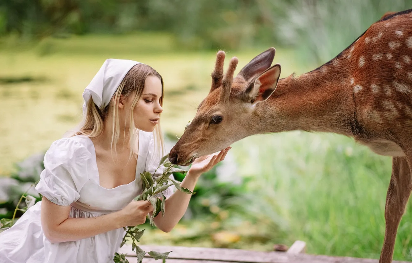 Photo wallpaper girl, nature, animal, deer, feeding, Alexandra Savenkova