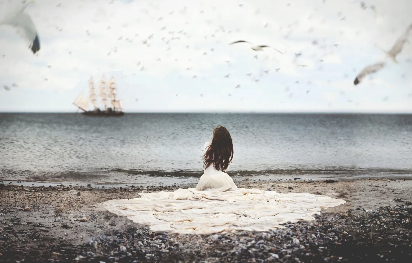 Photo wallpaper sea, water, girl, birds, ship, seagulls, dress
