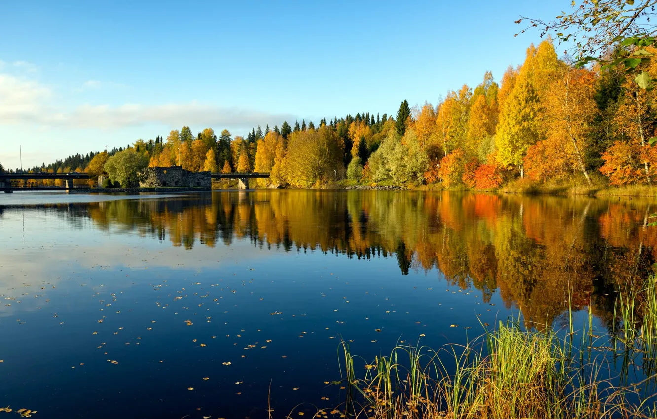 Осенний берег реки