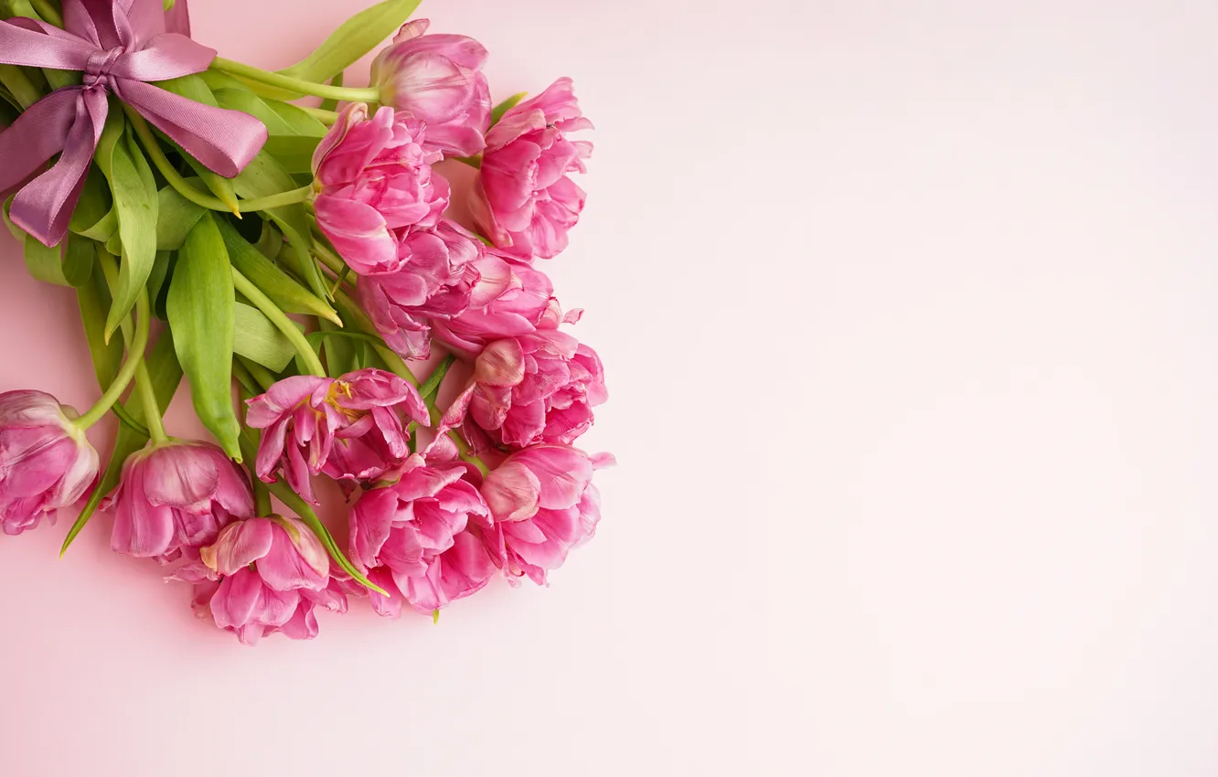 Photo wallpaper flowers, bouquet, tulips, pink, pink, flowers, beautiful, tulips