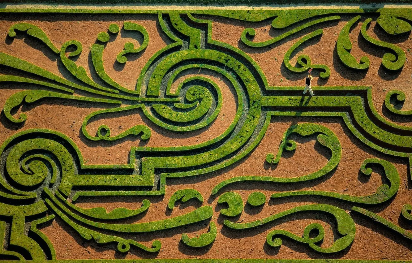Photo wallpaper garden, top, maze