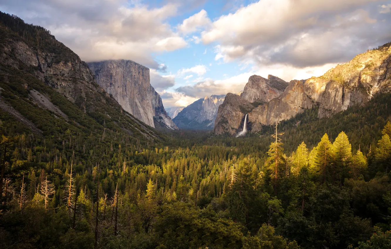 Photo wallpaper United States, California, Yosemite Valley, Foresta, Sunset Light