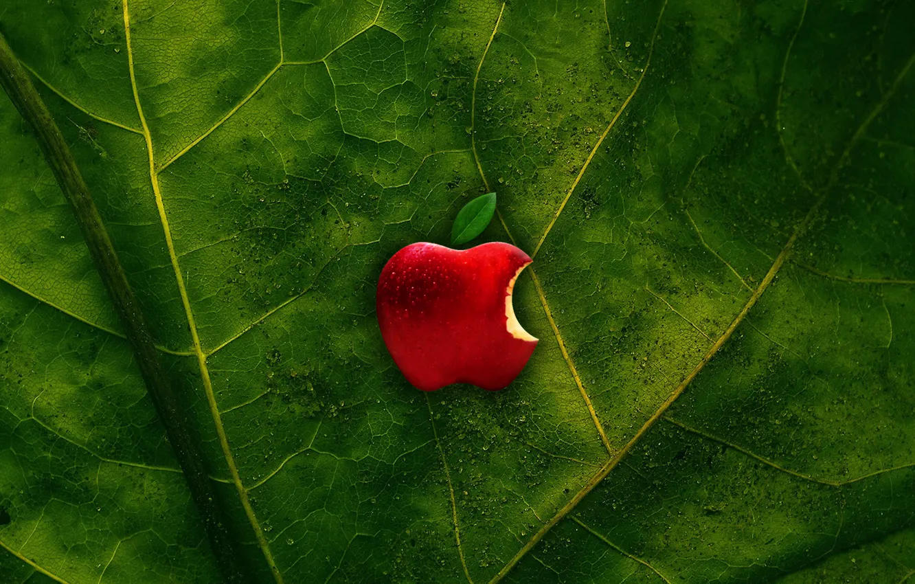 Photo wallpaper green, apple