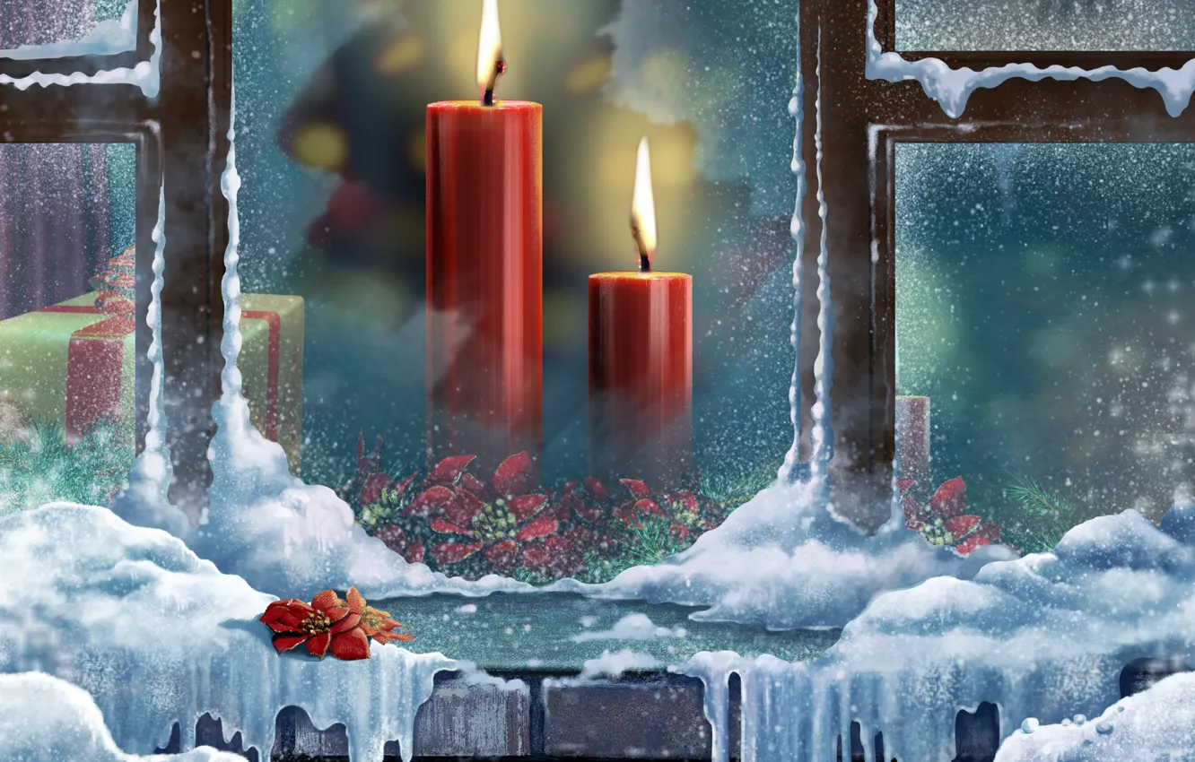 Photo wallpaper color, snow, flowers, box, gift, sweetheart, winter, Windows