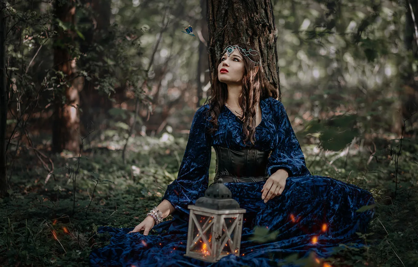 Photo wallpaper forest, look, girl, pose, glade, elf, blue dress, Mila Agafonova